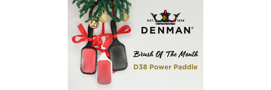 BRUSH OF THE MONTH - D38 POWER PADDLE