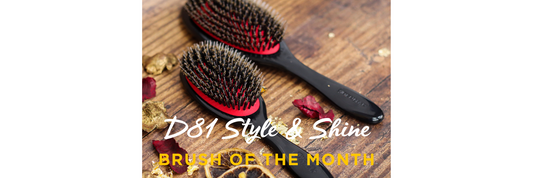 D81 STYLE & SHINE - BRUSH OF THE MONTH
