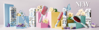 Image banner of girls, different hair colours 