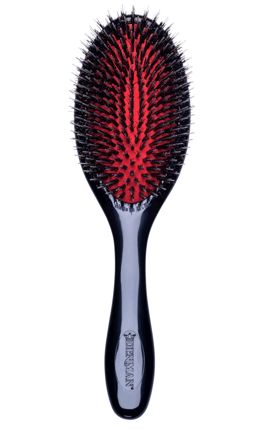 D81M Style and Shine Brush